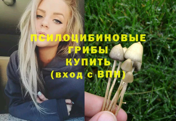 прущий лед Киренск
