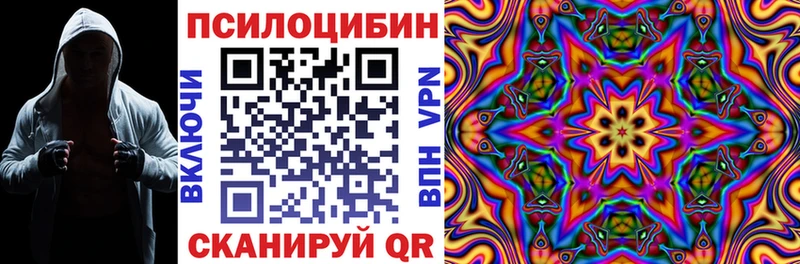Купить где  Россошь  Псилоцибиновые грибы MAGIC MUSHROOMS 