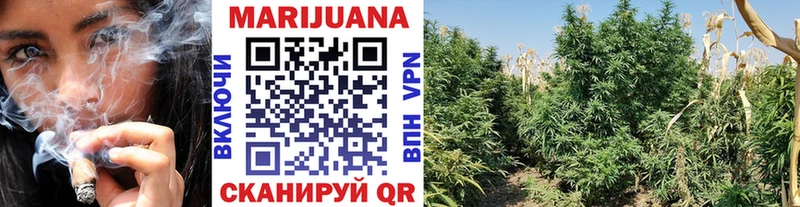 Шишки марихуана SATIVA & INDICA  Купить где  Россошь 